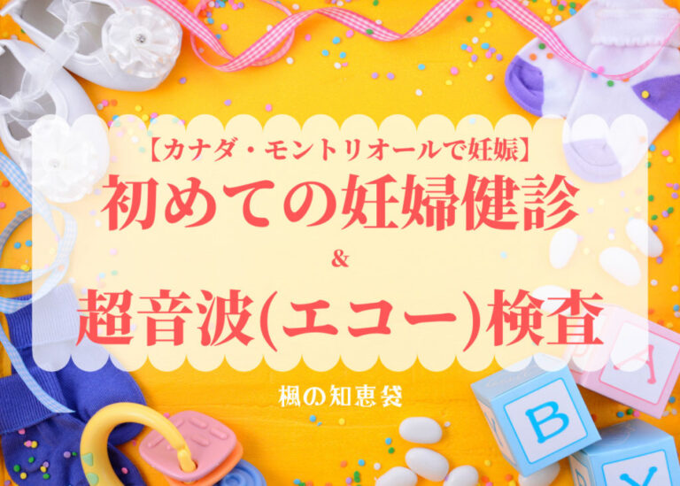 カナダ モントリオールで妊娠 初めての妊婦健診 超音波 エコー 検査 カナダ モントリオール総合情報サイト 楓の知恵袋