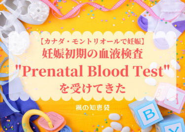 【カナダ・モントリオールで妊娠】妊娠初期の血液検査”Prenatal Blood Test”を受けてきた