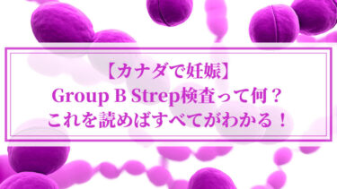 【カナダで妊娠】Group B Strep検査って何？これを読めばすべてがわかる！